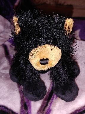 Webkinz Ganz Black Plush Bear